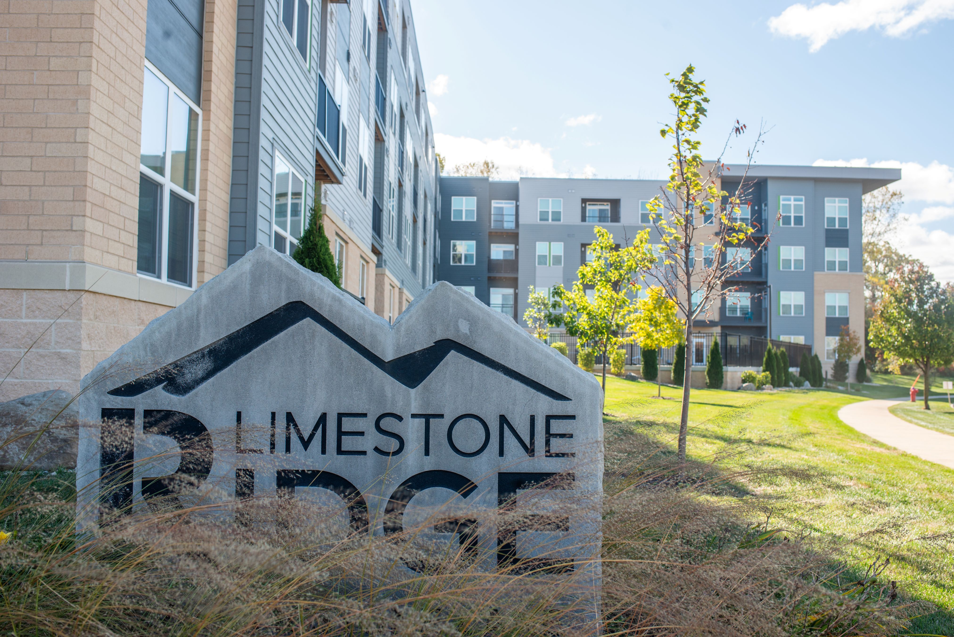 Two People Collaborating